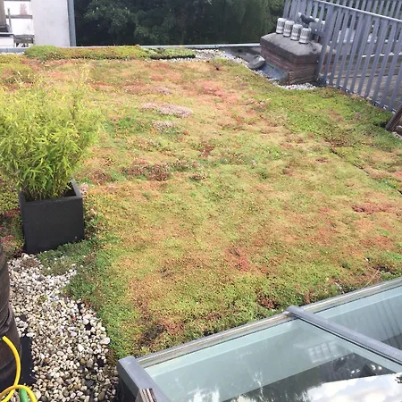 Adriaen Ostade Hotel Amsterdam